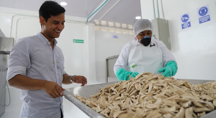 Inauguración de la planta procesadora de cachaco en Natagaima 2